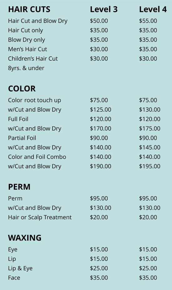 Hair Experience Prices